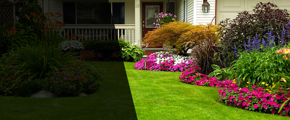 Clermont Landscapers