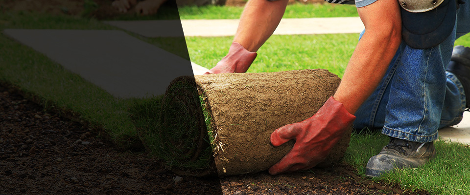 Clermont Landscapers